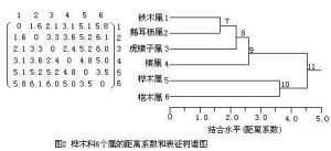 分類學距離