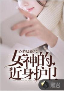 女神的近身護衛[黑岩網小說]