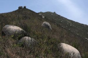 茅排芙蓉山