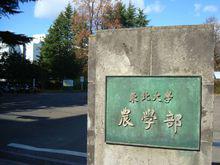 東北大學農學部