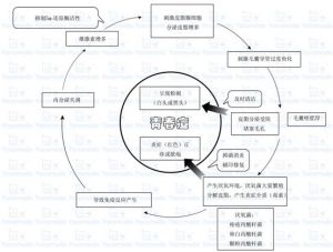 祛痘理念