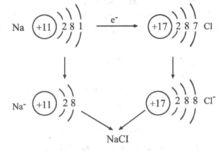 現代自然科學