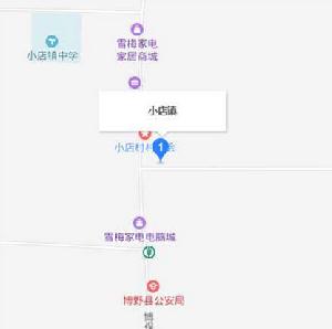 小店鎮[河北省博野縣小店鎮]