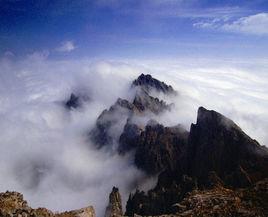 甘肅太子山國家級自然保護區