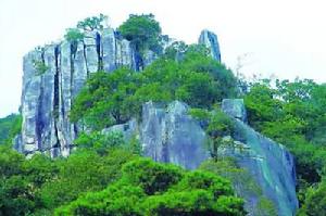 蓮花山國家森林公園