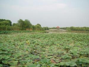 湖北承恩寺圖4