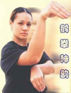 宿鶴拳