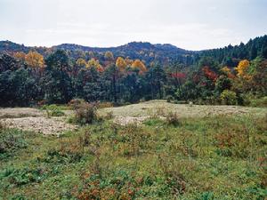 （圖）小草壩鄉