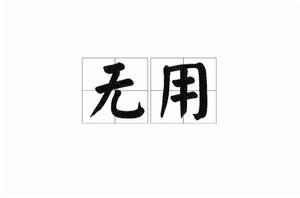 無用[漢語詞語]