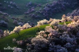 杏花山[河南省鎮平縣]