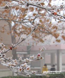 中國石油大學（華東）東營校區