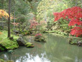 苔寺