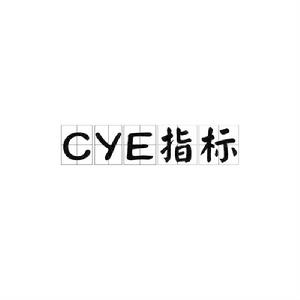 CYE指標