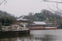 平湖公園雪景