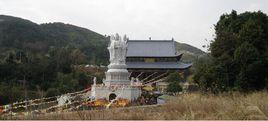 蒼南金鄉梅峰湧泉禪寺