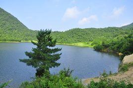 夾河村[山東濰坊市譚坊鎮下轄村]