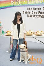 導盲犬和楊采妮