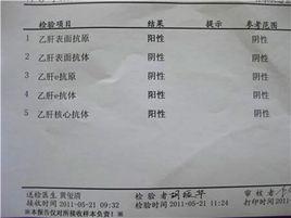 B肝感染恢復期