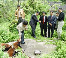 臥龍國家級自然保護區 風景極動物圖集（2）