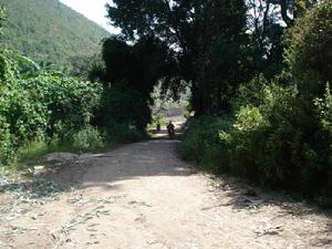 嵐峰自然村通村道路