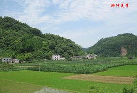 橫衝村[雲南省昆明市呈貢區馬金鋪街道橫衝村委會]