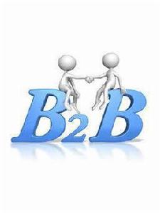 b2b平台[概念模式]
