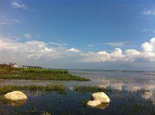 位於下關的洱海月濕地公園