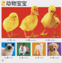 書籍插圖