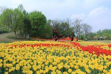 合肥植物園