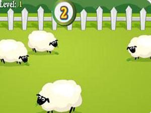 農場數綿羊