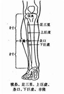 下巨虛穴