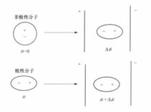 外電場對分子極性影響示意圖