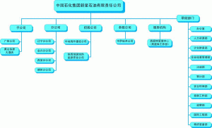 （圖）中國石化集團新星石油有限責任公司