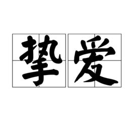 摯愛[漢語詞語]