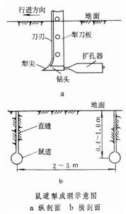 鼠道排水