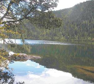 （圖）獵塔湖水怪