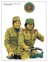 越南公安軍帽徽及公安軍軍人