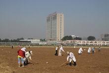 山東省農業科學院