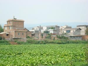 飲泉村