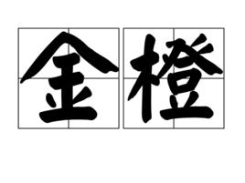 金橙[漢字詞組]