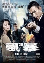 風暴[2013年劉德華主演的電影]