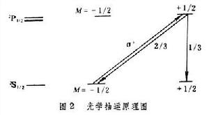 極化靶