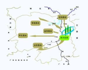 泰格林紙集團股份有限公司分布圖