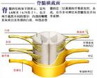 脊髓空洞症