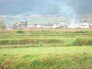 雙陽村[雲南省大理州大理市銀橋鎮下轄村]