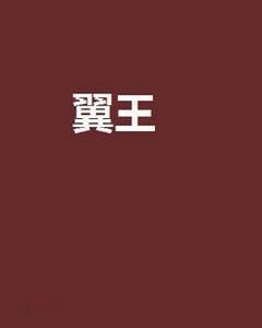 翼王[網路小說]