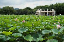 洪湖公園