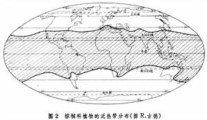 生物分布