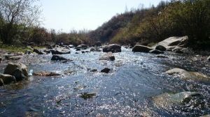 藥水泉[青海省民和縣七里寺峽谷]