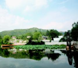 宋家溝村[山東省泗水縣泗張鎮下轄村]